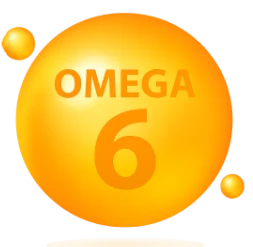 Omega-6
